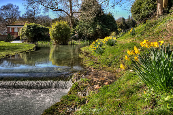 Russell gardens - Waterfall And Spring Time
