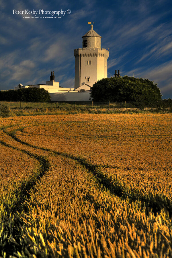 South Foreland Lighthouse - Wheat Field