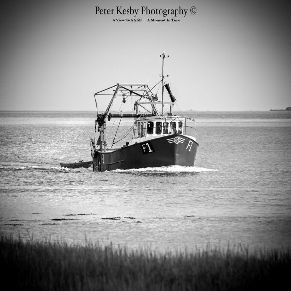 Fishing Boat - Coming Home