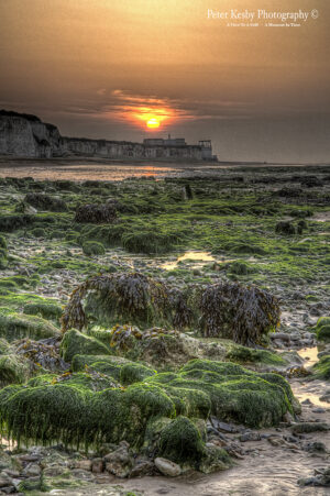 Botany Bay - Low Tide - Sunset