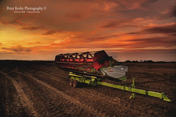 Agriculture - Sunset