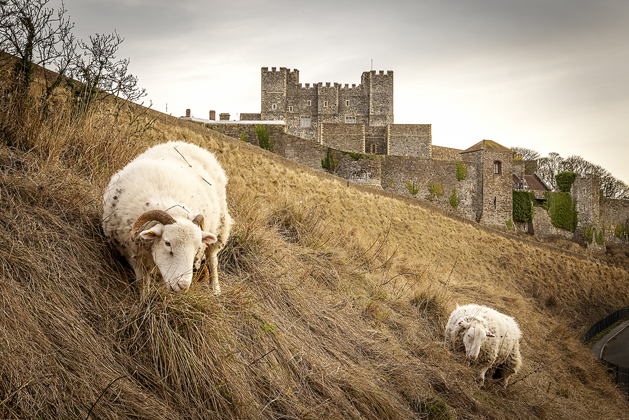 Dover Calendar 2027 - Image 2